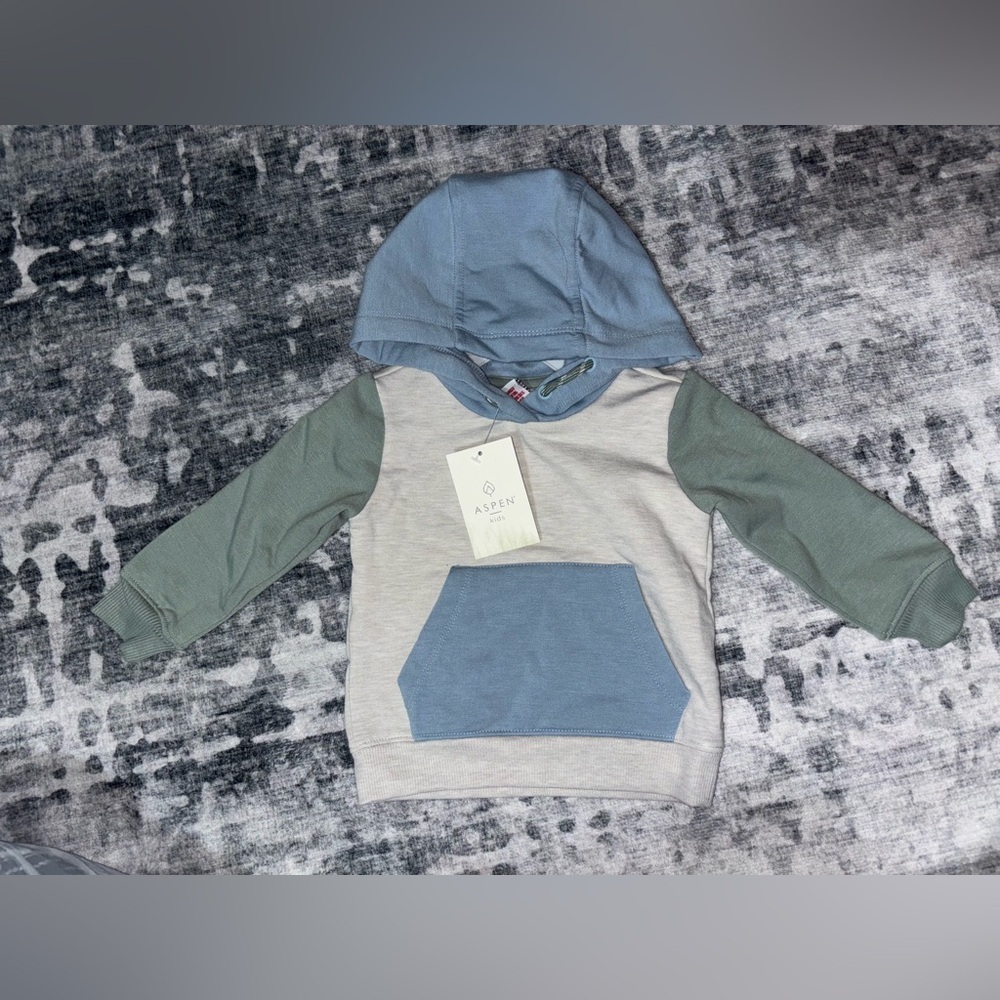 Aden Kids' Blue and Gray Hoodie